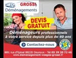 DEMENAGEMENTS GROSSI 88220