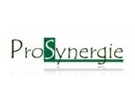 PROSYNERGIE 86510