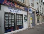 ART IMMO 54110