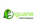 IGUANE INFORMATIQUE 31000