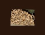 31160 Chein-Dessus