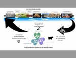 HANNAH UNE SEULE SANTE ONE HEALTH 13008